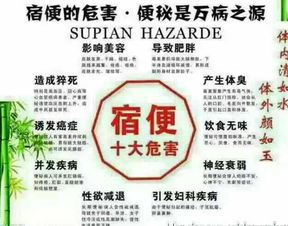 解析随便果产业链 从深圳工厂到代理模式的全景透视